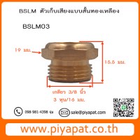 BSLM03 รูปโชว์5